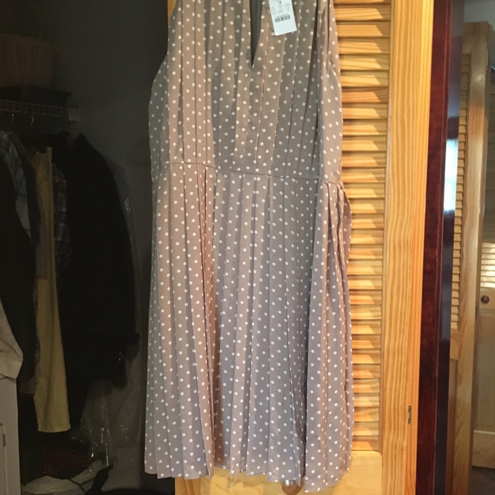 Dresses - Picture 3 of 7
